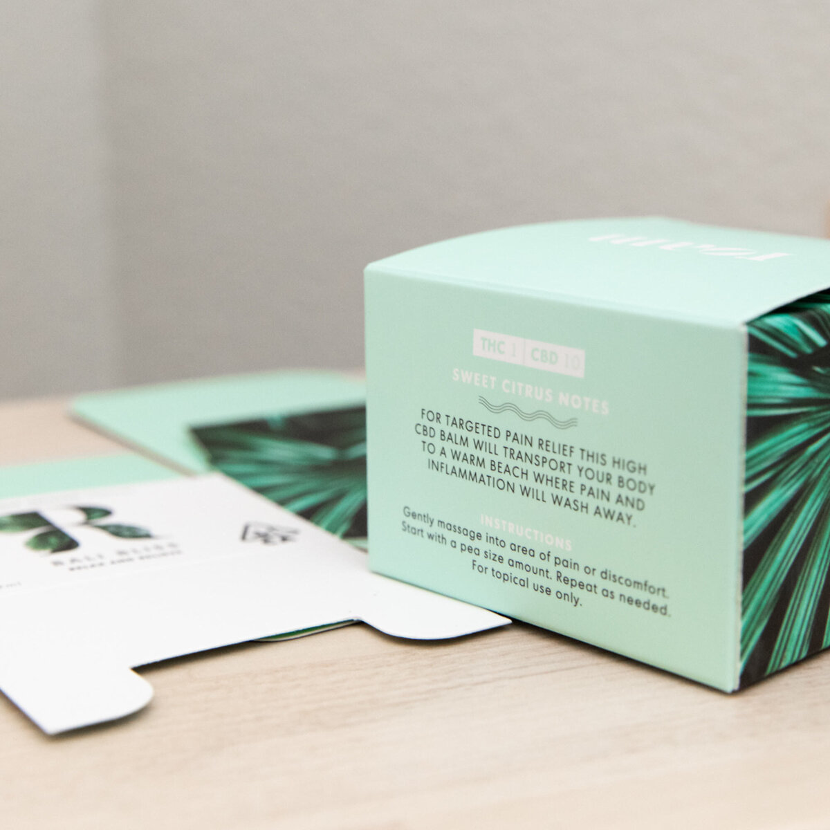Rose-and-Palm-Studio_Portfolio_Studio-DIY_Roam-Escapes_Graphic-6