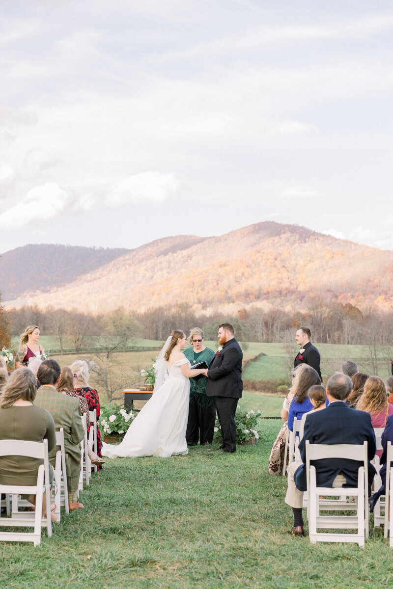 Elegant Wedding at Marriot Ranch Blue Ridge Mountains_-3