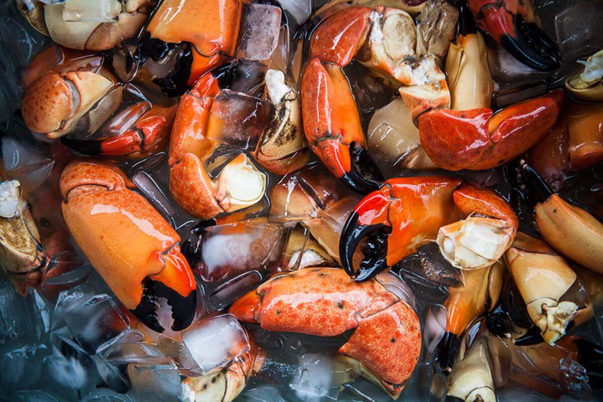 Crab-Claw-Marketing-Photography-Seafood-Supply-Company-Business-Branding