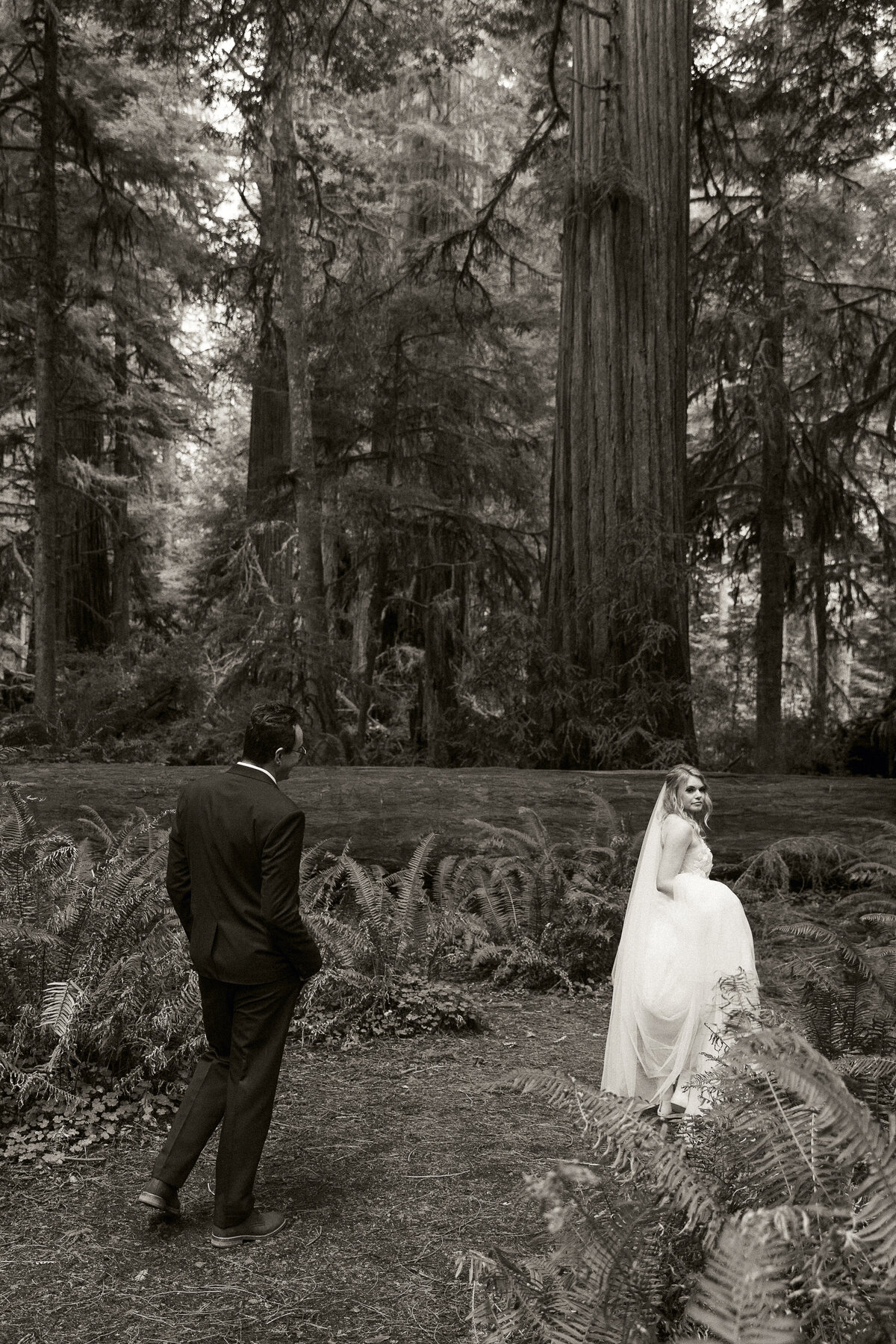 AbbyReePhotography-RedwoodsElopement-49