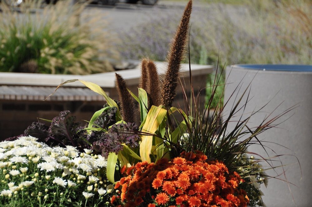 Commercial landscape company project in Kansas City