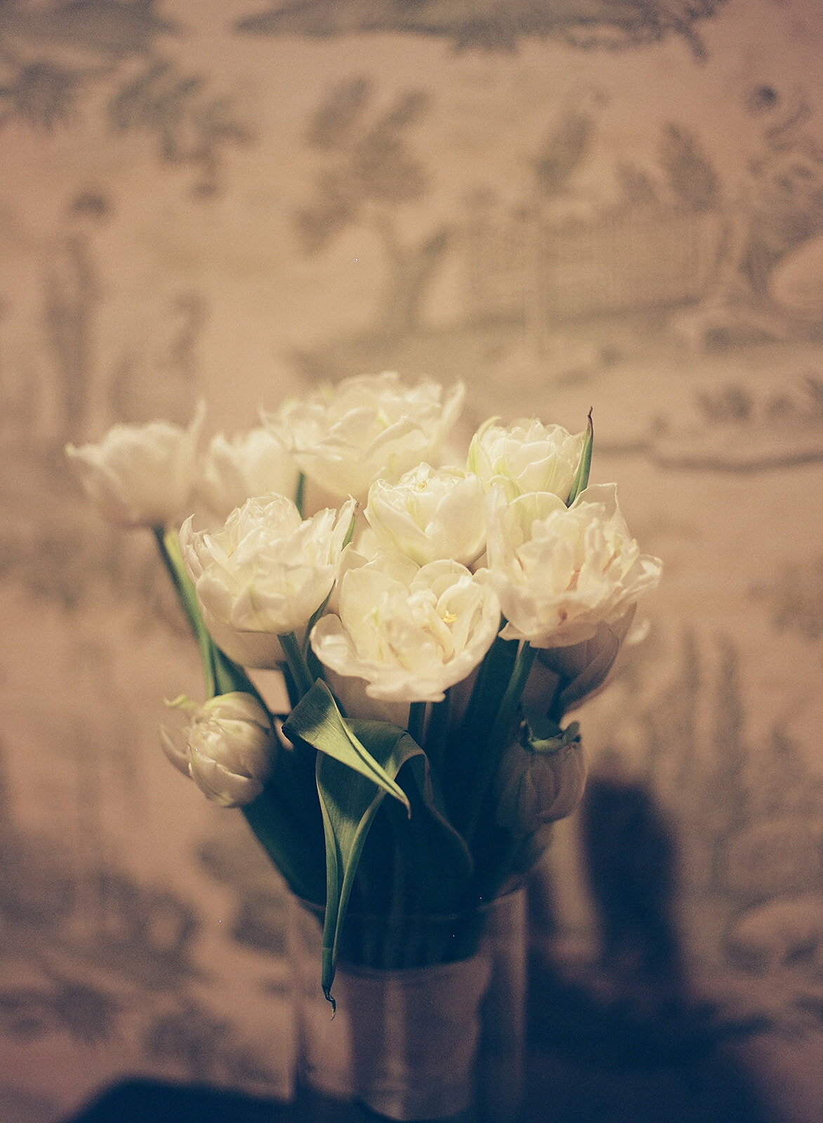 MCS_2789