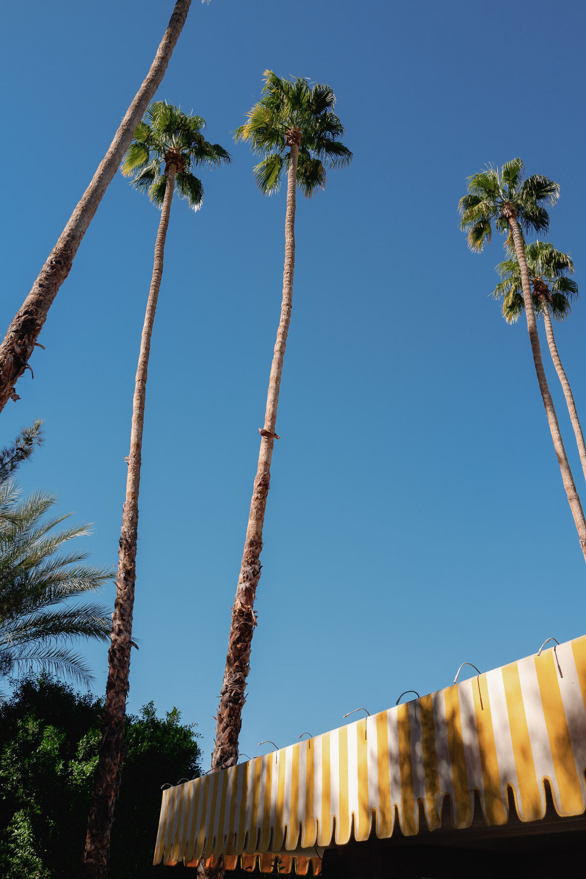 Parker Palm Springs wedding red-4