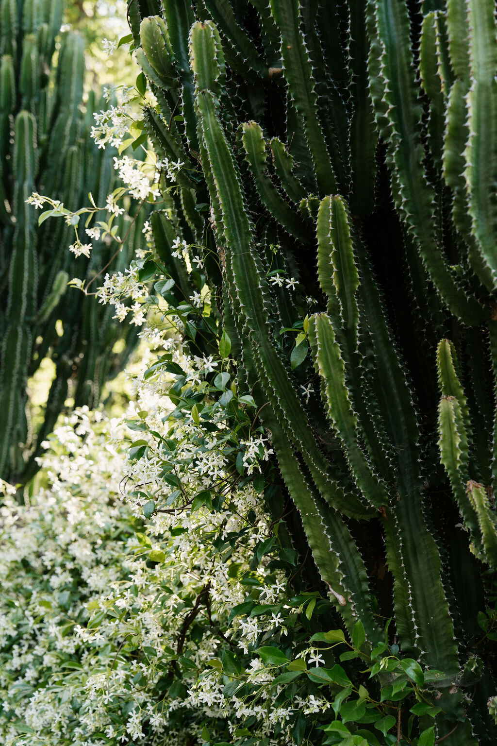 meagan-hilss-events-romantic-west-coast-wedding