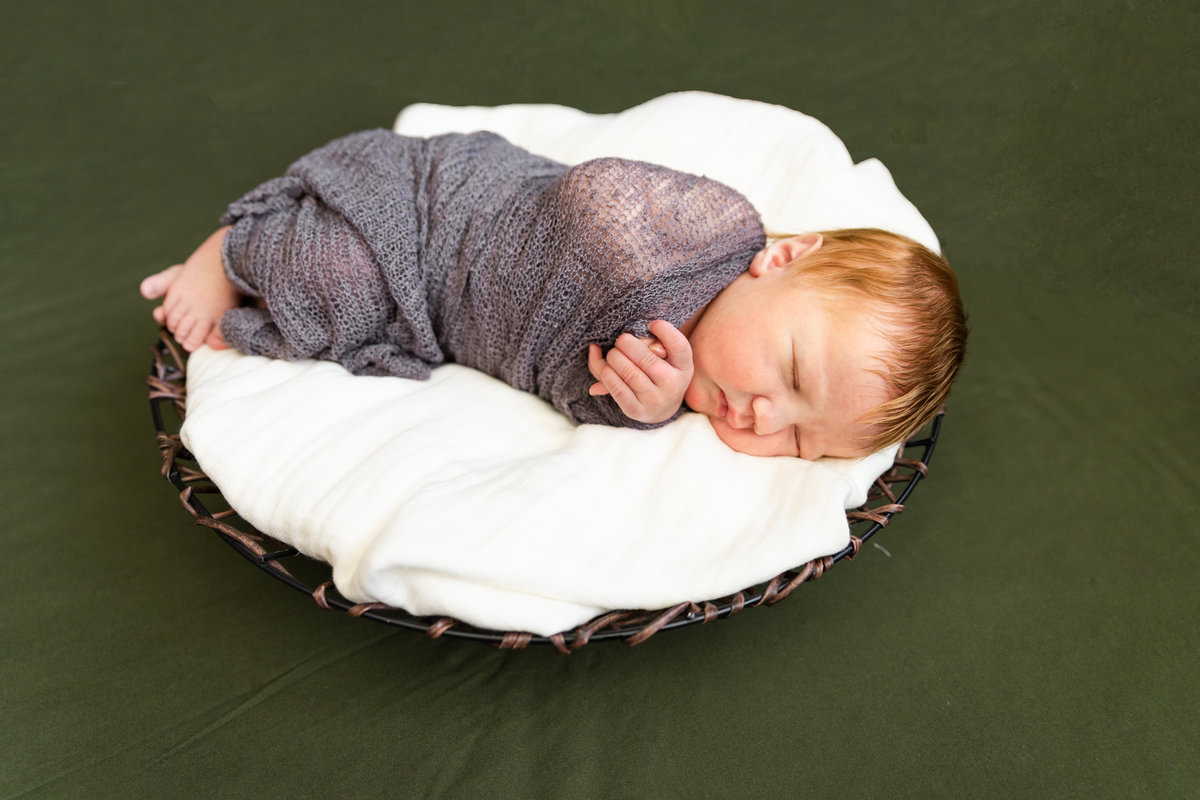 Girl Newborn Portraits