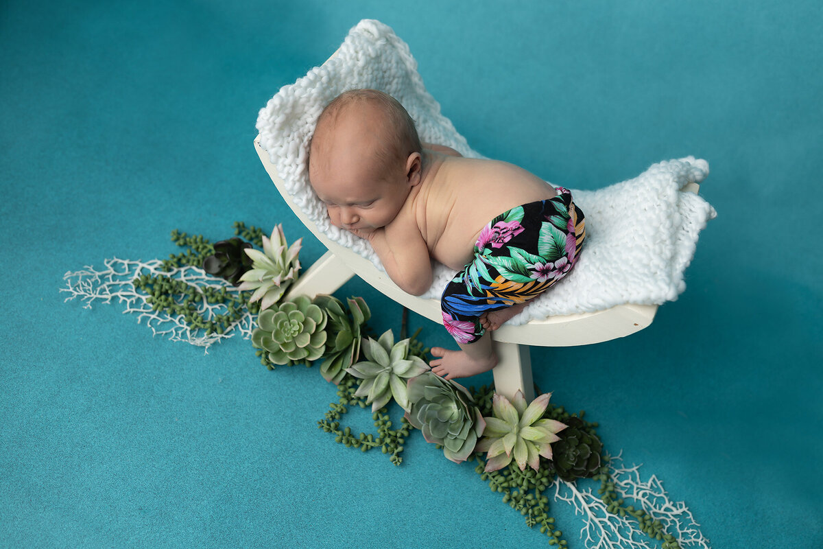 Top-down view of a newborn baby boy in tropical pants resting on a white bench with succulent greenery – DFW Newborn Photography