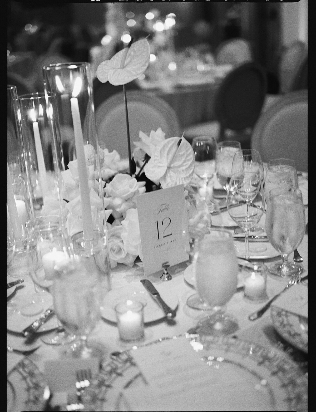 LindsaySean-crystalkphotos-Film-129