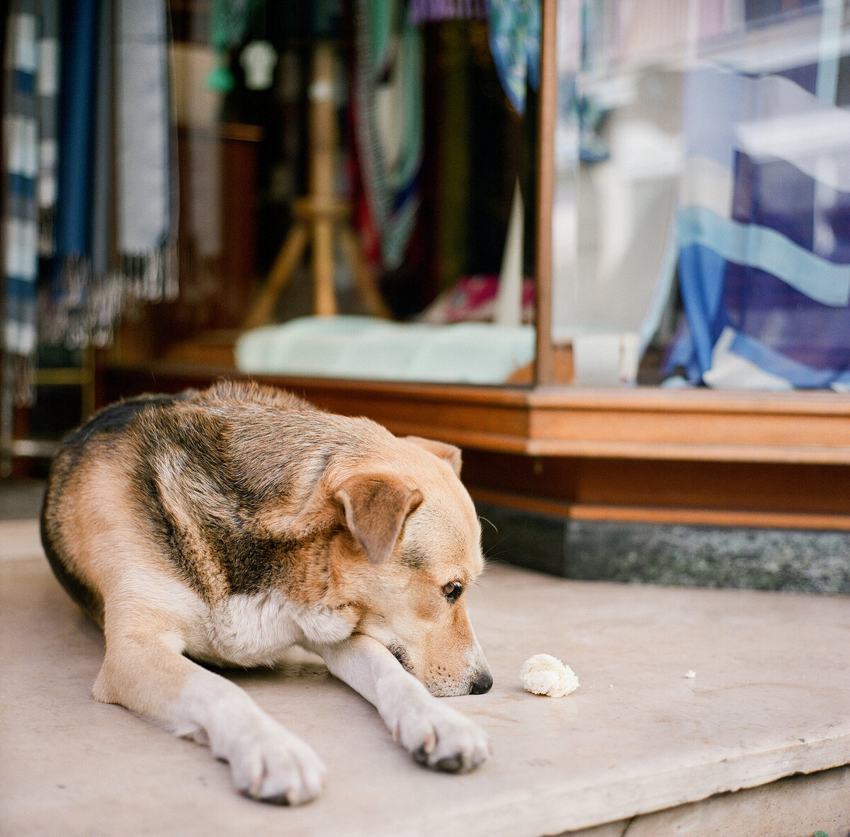 Taryn + Brendan Film Scans 004