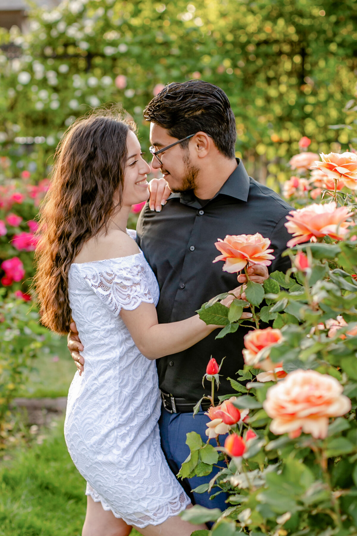 San Jose Rose Gardenl Session-15