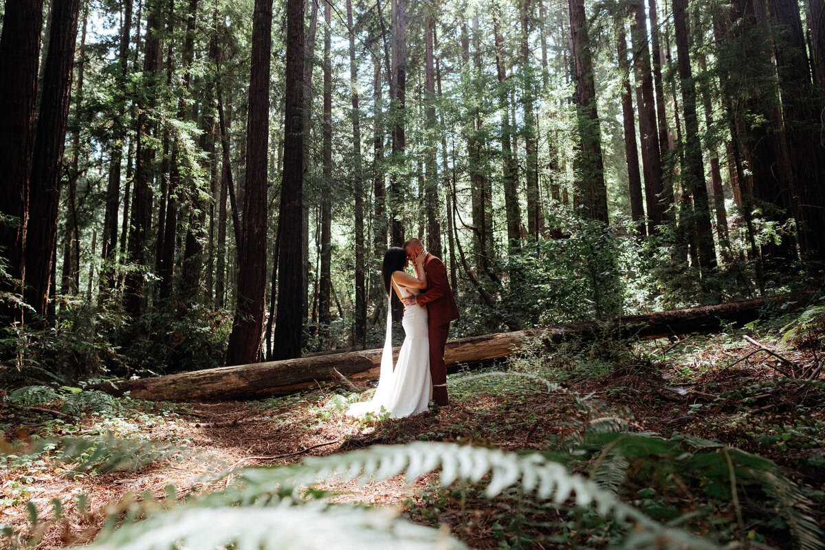 redwoods.santacruzDSC09975