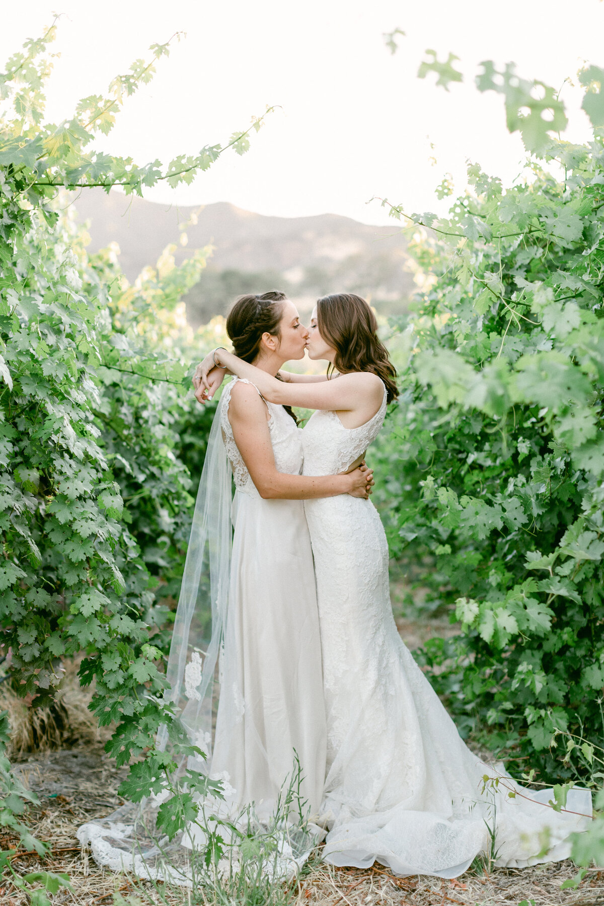 Lesbian couple kiss in their wedding gowns in a vineyard on their wedding day