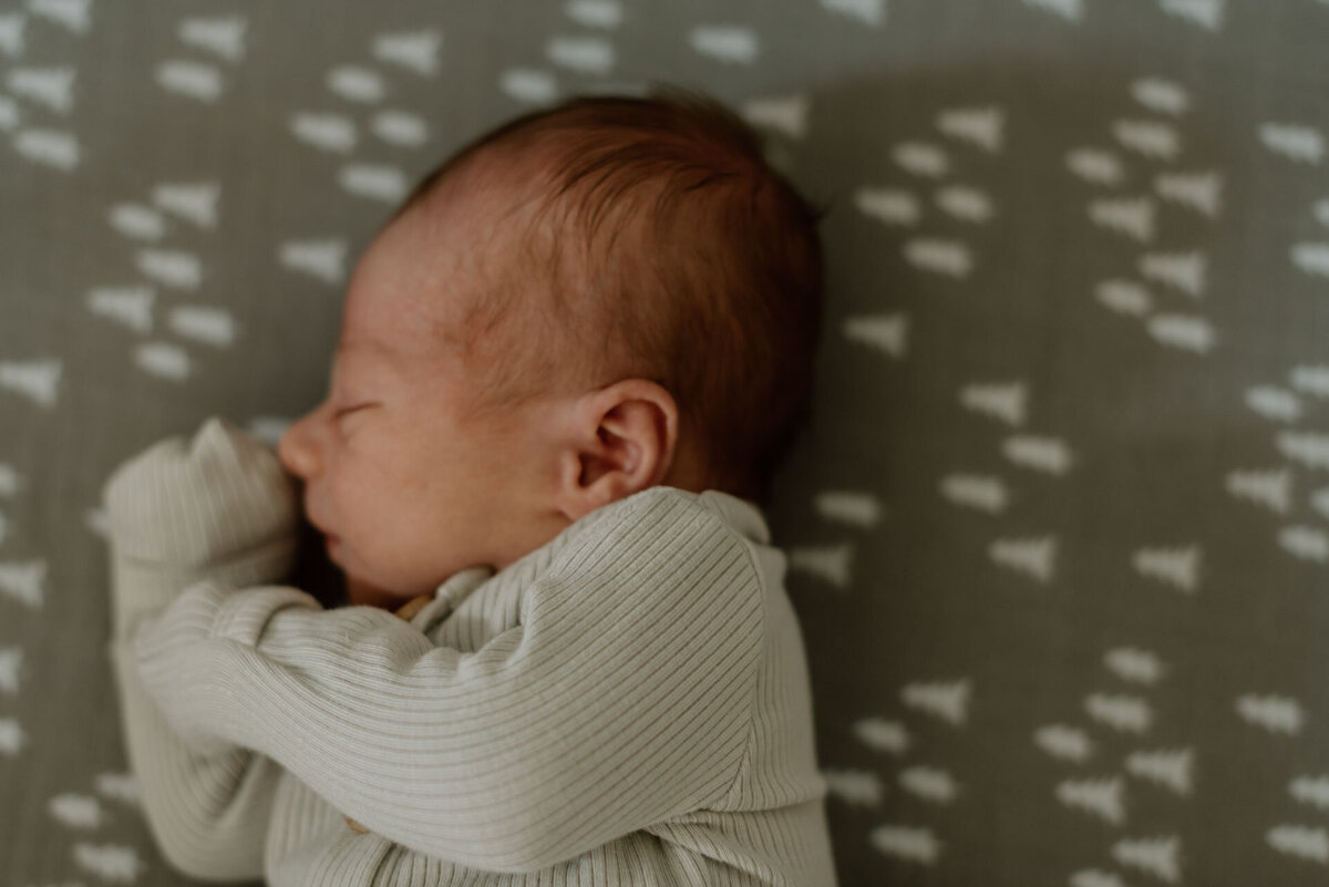 sask newborn00006