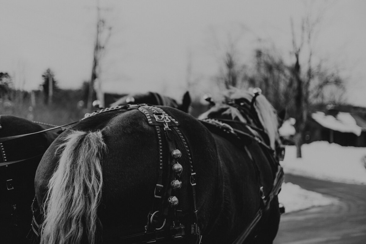 CG-BlevinsWedding-55