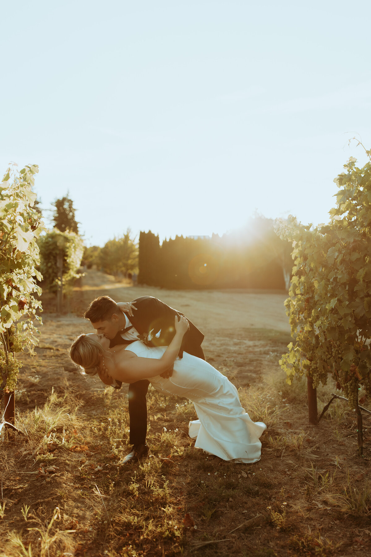 AuroraVineyardsWedding