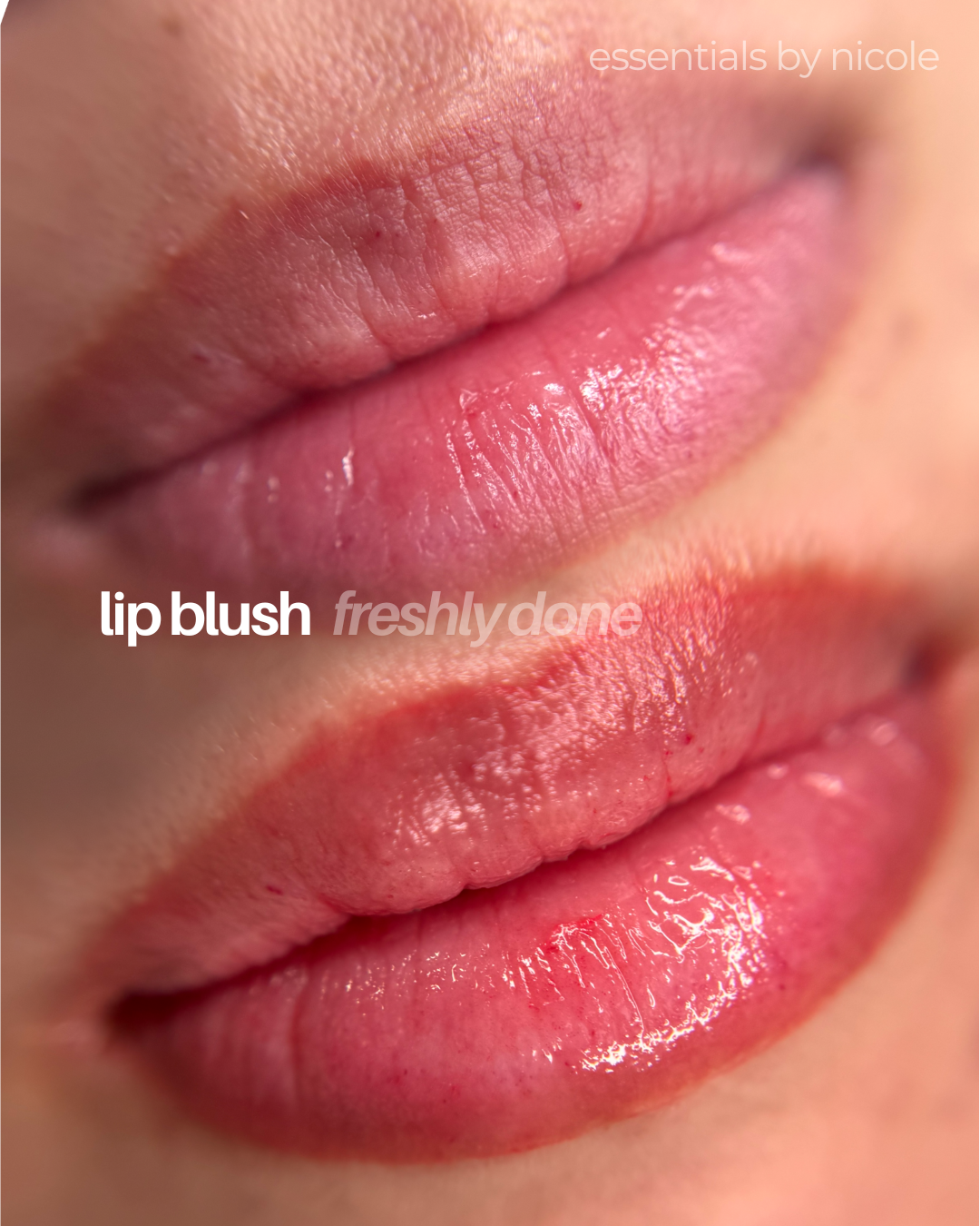 lip blush before and after west springfield, massachusetts Essentials by Nicole