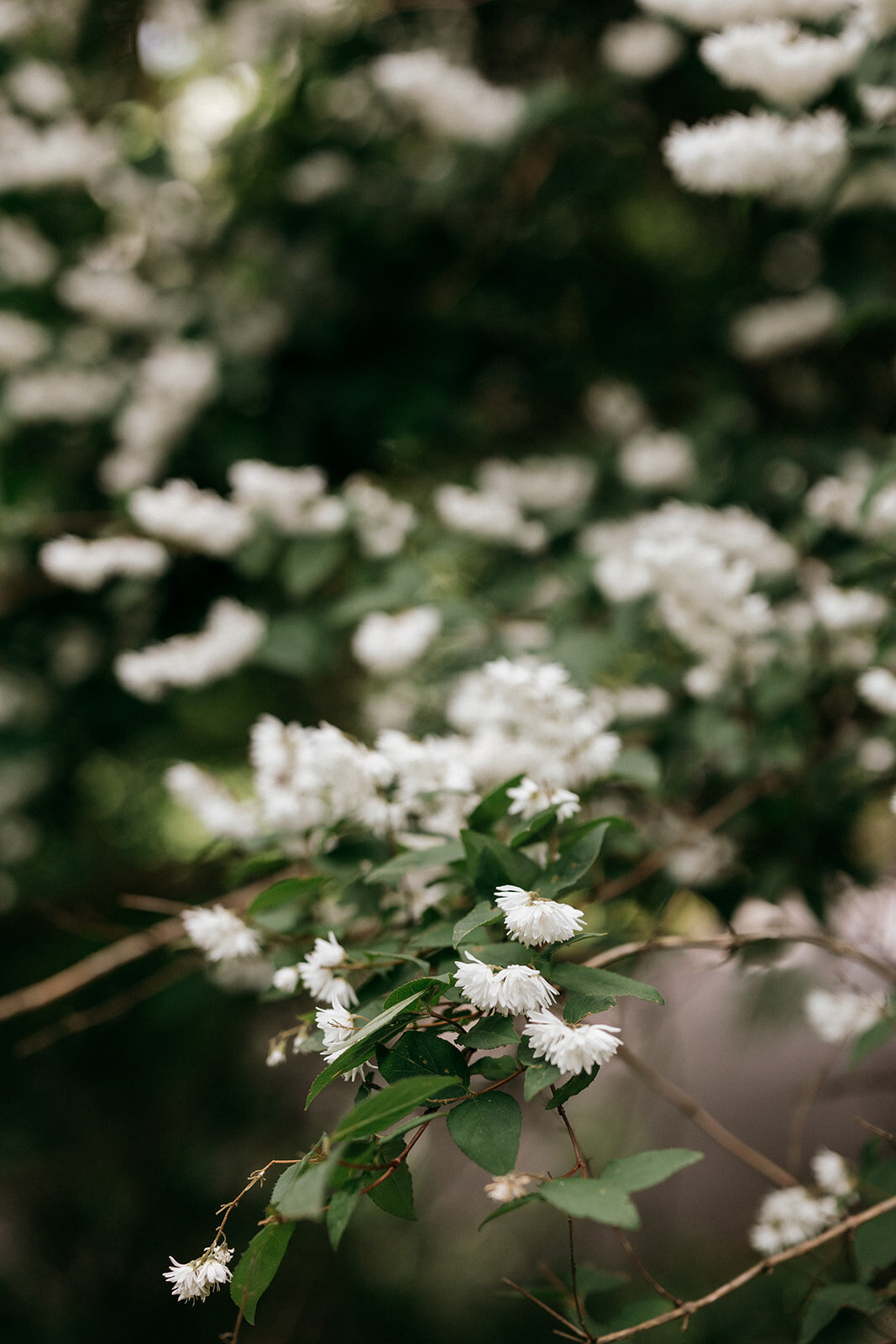 Haley-Andersen-Pocono-Palms-Wedding-Photography-1