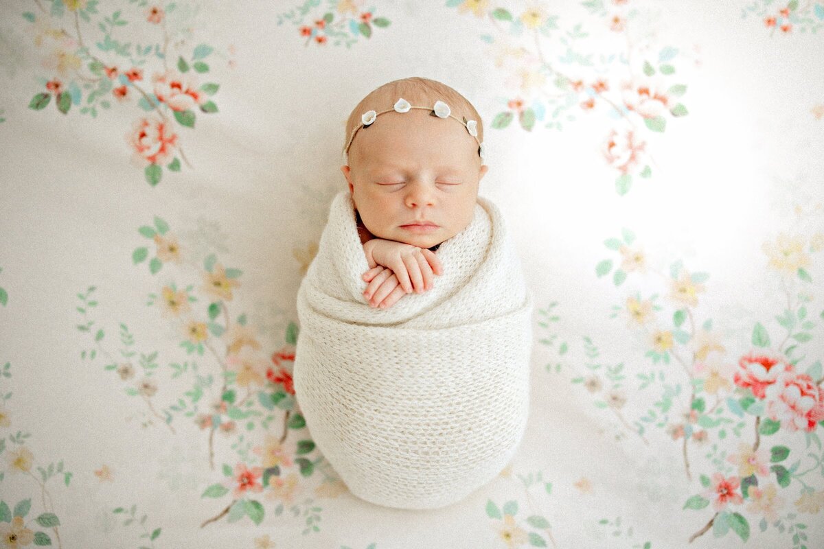 Best_Fort_Collins_Studio_Newborn_Photographer