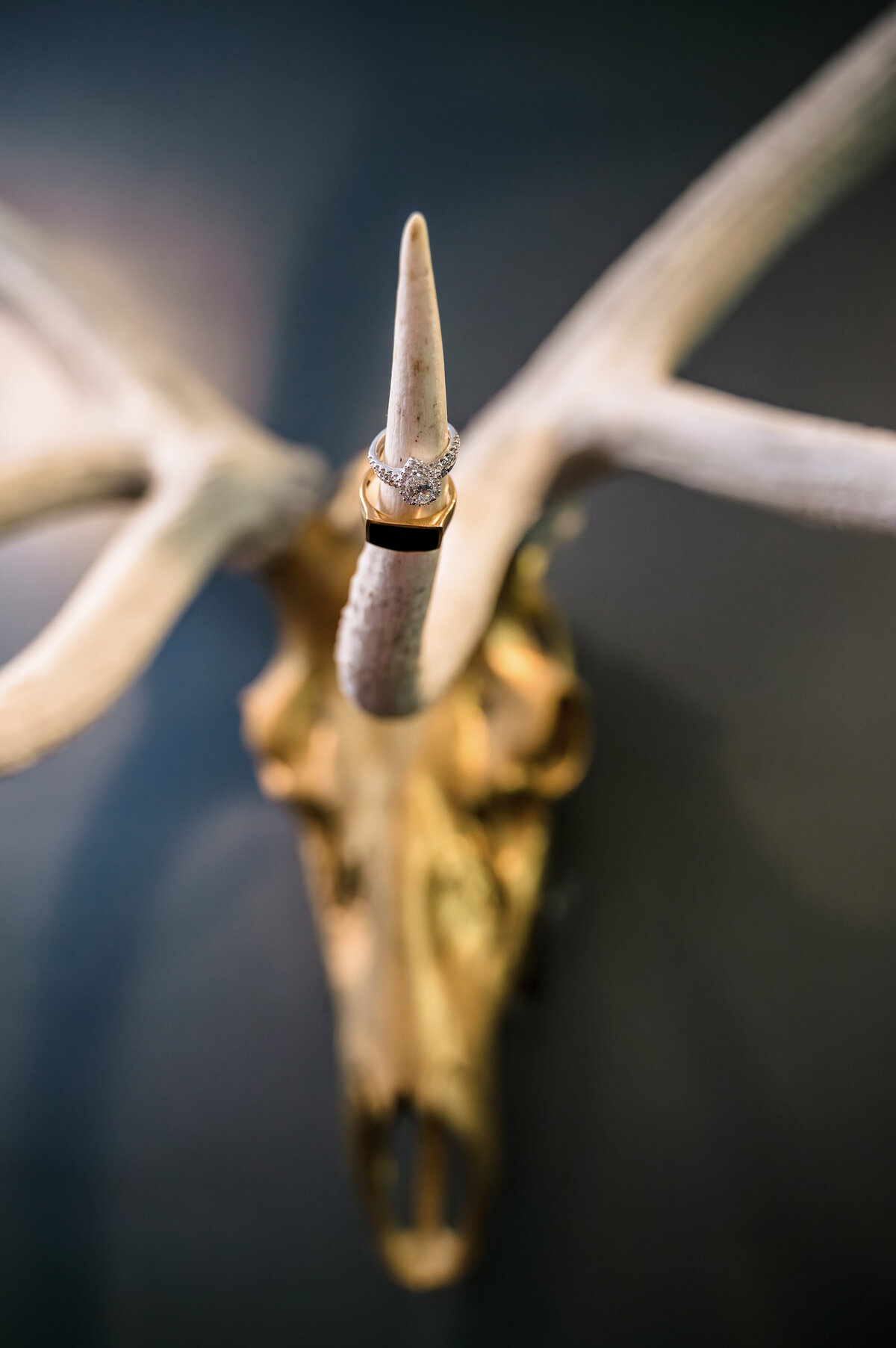 Alex Segall Photography (48 of 959)