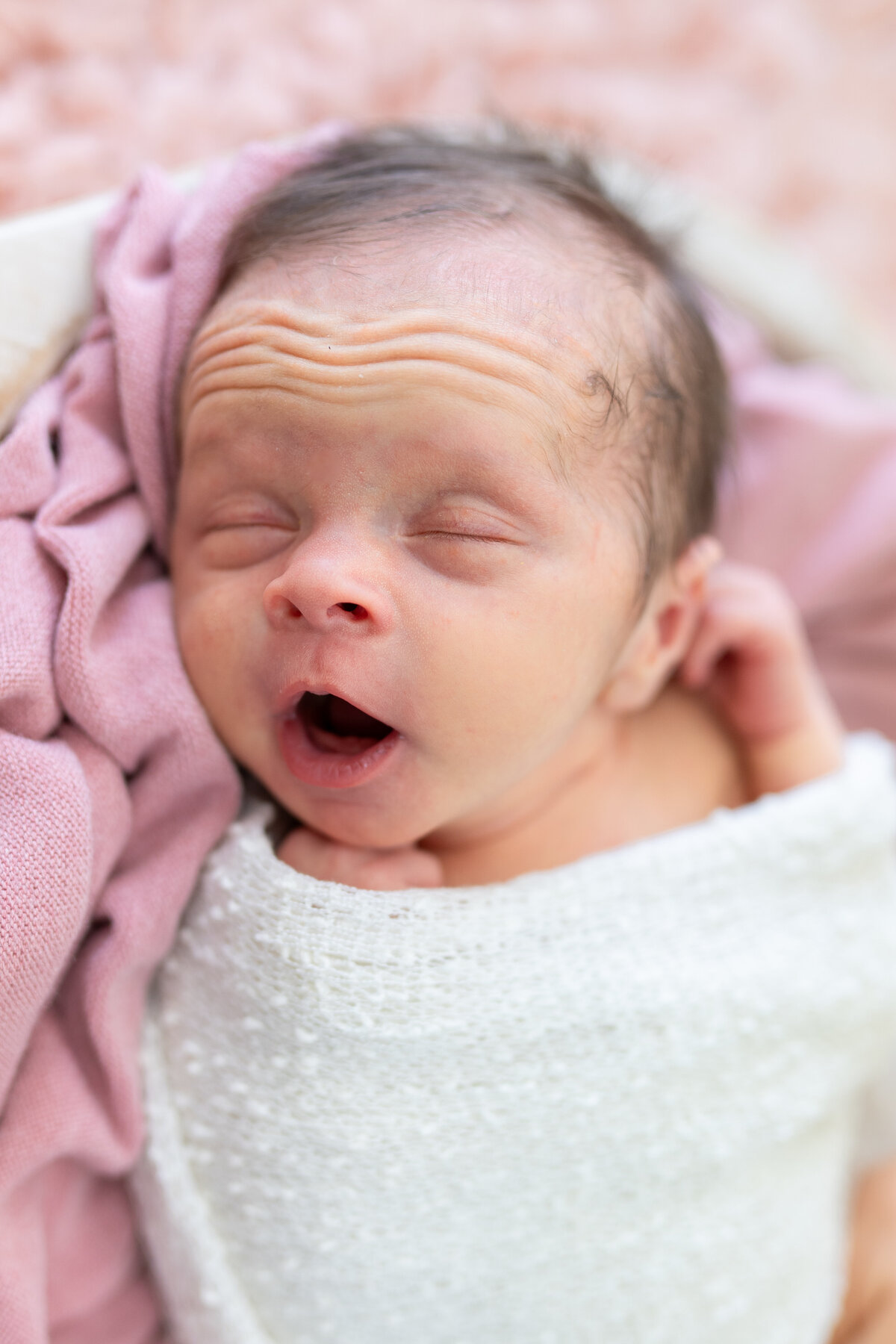 Baby Esmeralda Rose-74