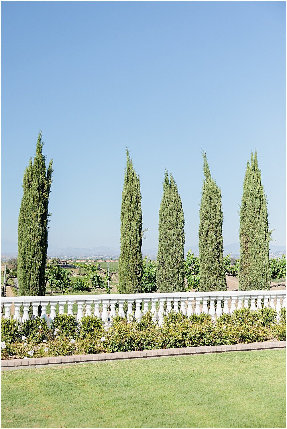 Mount-Palomar-Winery-Wedding-Southern-California_0012