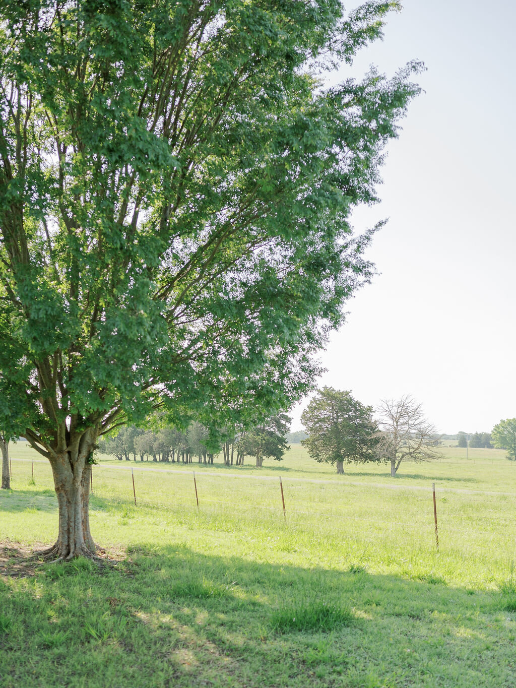 intimate church wedding with greenery-1