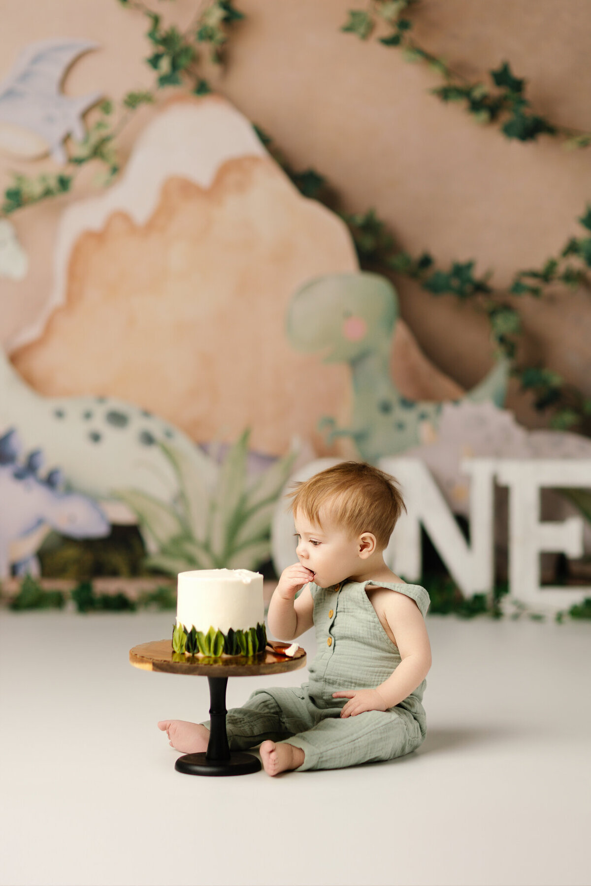 best cake smash photographer near me, NW Arkansas cake smash photography, baby photographer near me, NW Arkansas milestone sessions