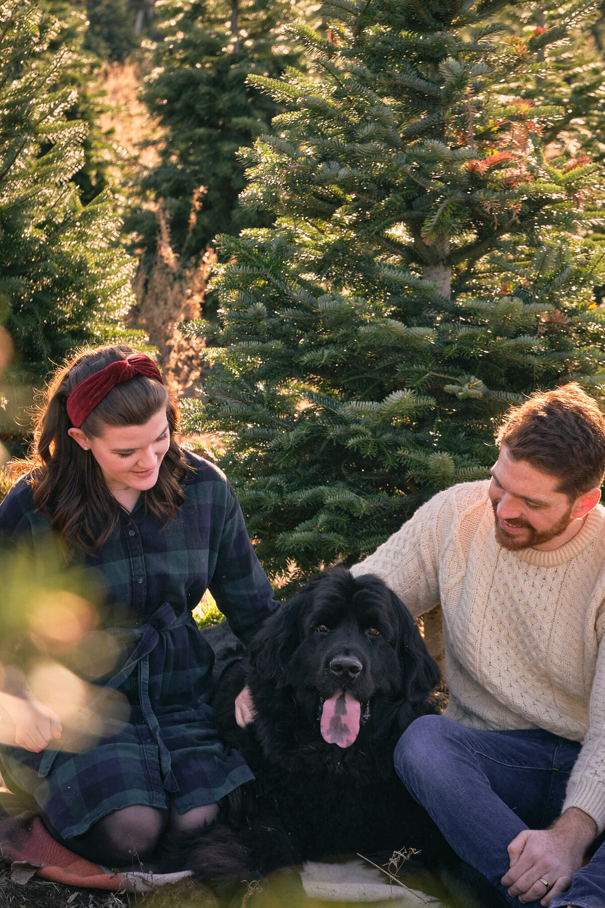 Washington_Holiday_Photographer-1