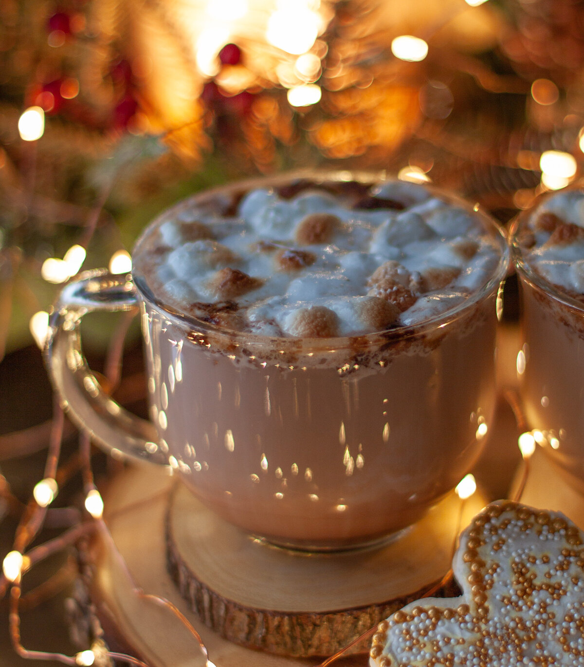 foodphotography_xmas_hotcocoa-4404
