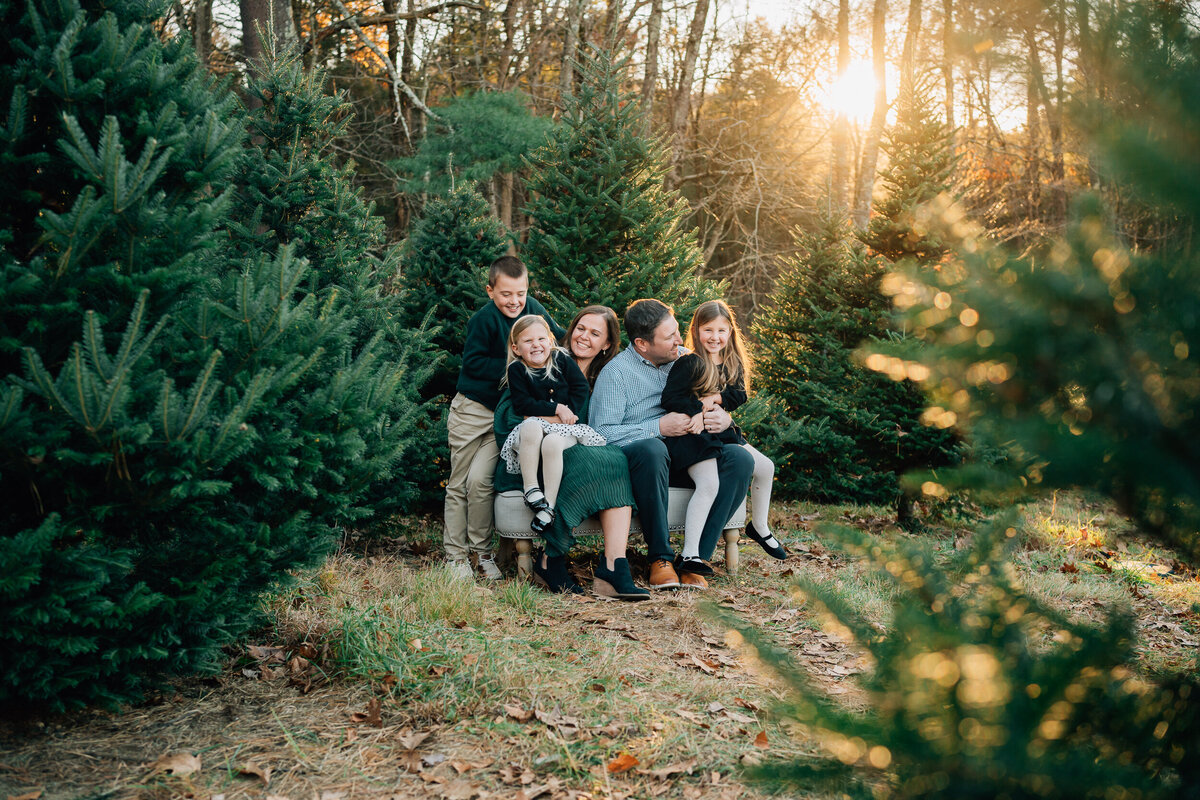 Christmas Tree Farm Mini Sessions | Connecticut Family Photographer-47