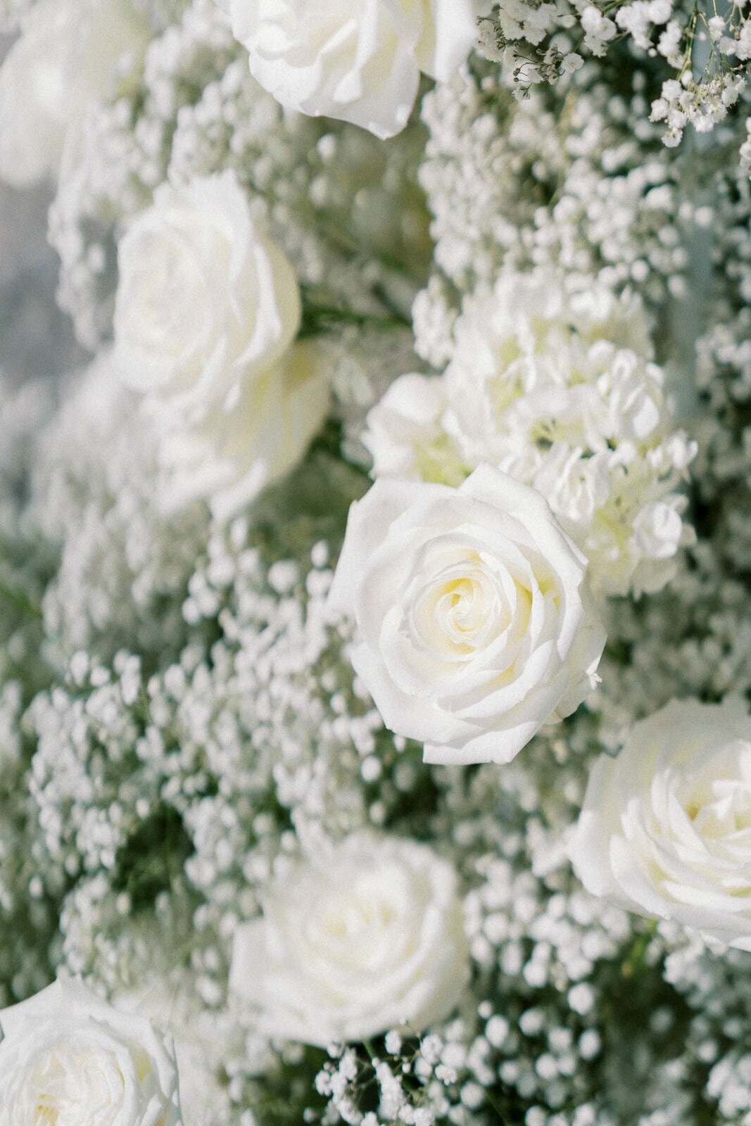 W8-Wedding-events-Deer-Creek-Shelly-and-Alexander-2024-09-28-2500px-1057