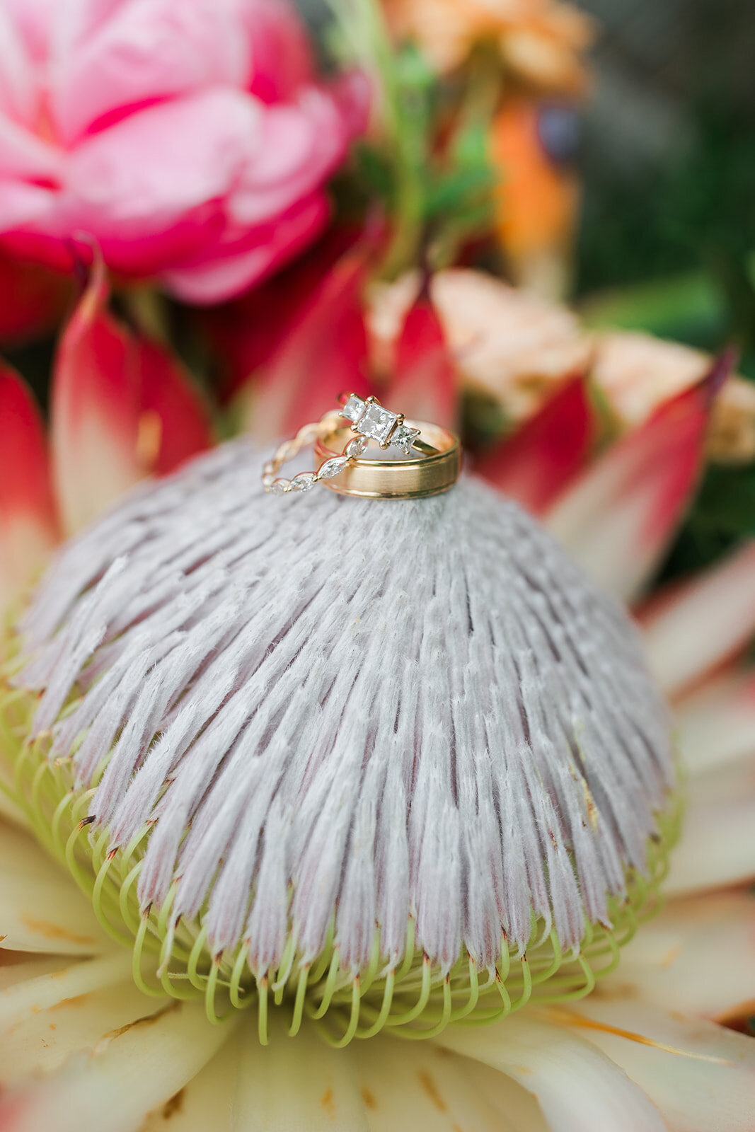 maleana-gardens-wedding241