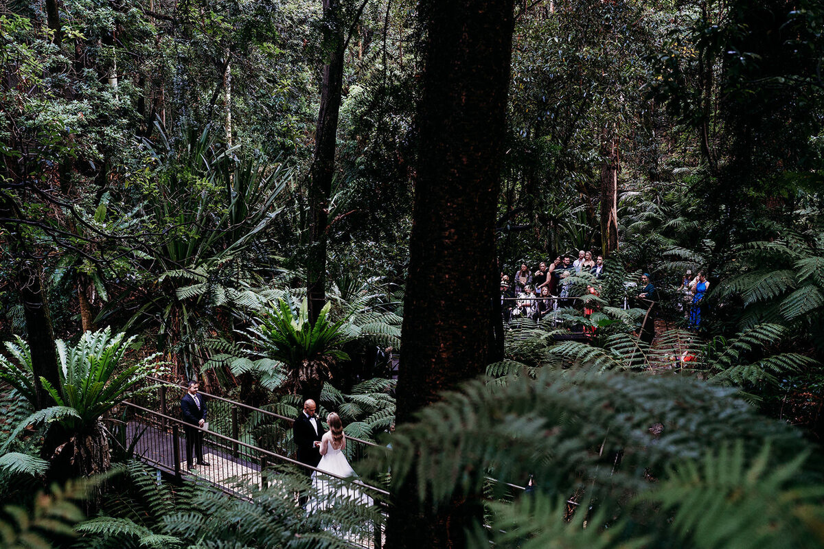 Margan_Photography_Australian_National_Botanic_Gardens-80