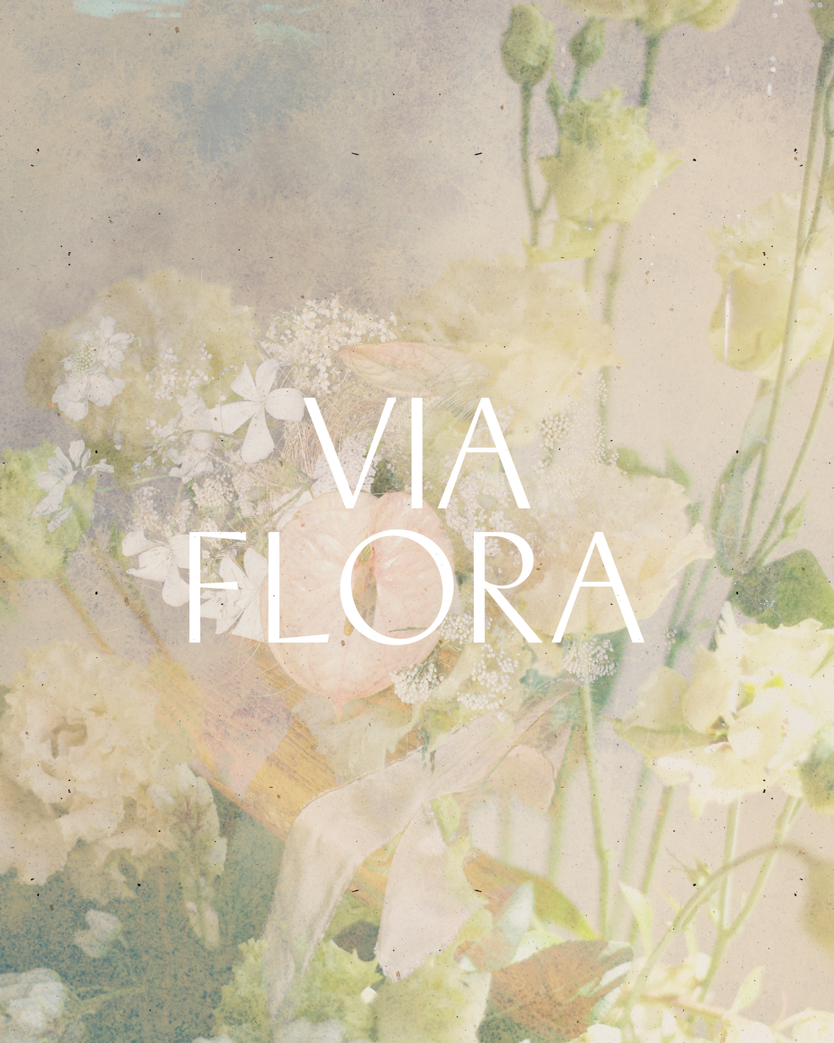 Via Flora-08