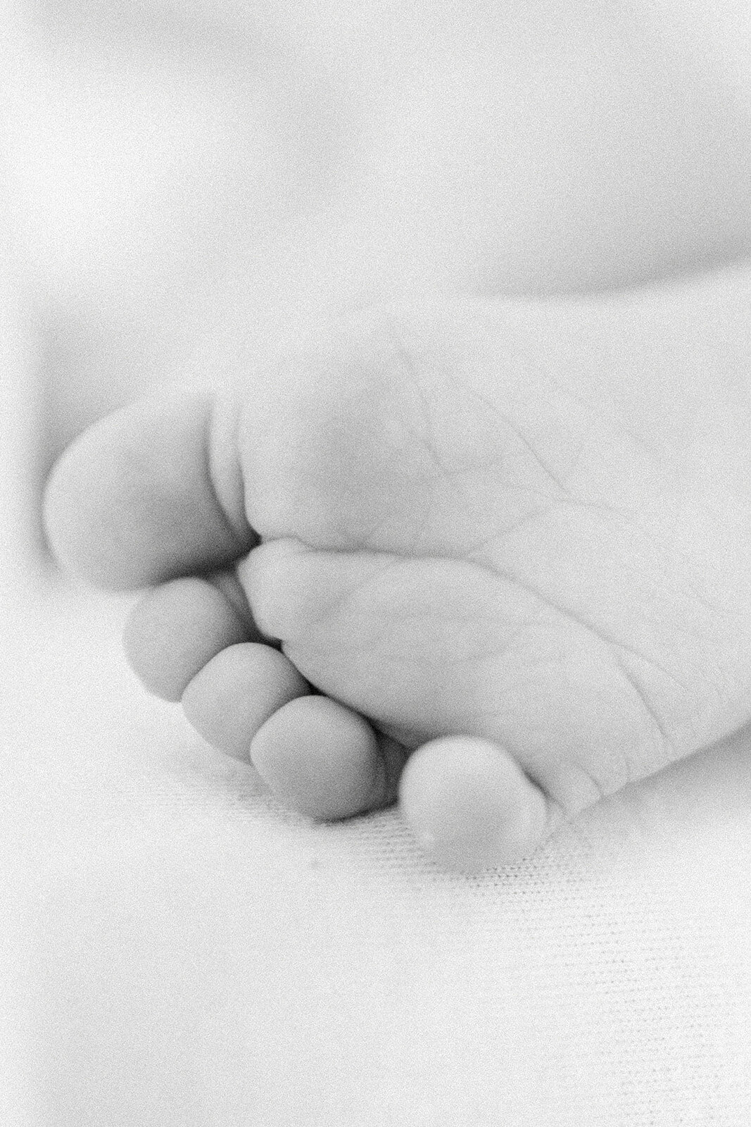 BabyLane-45_websize