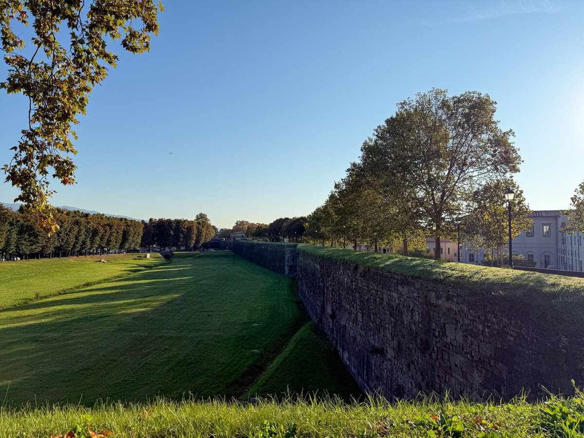 The surrounding city walls in Lucca, Italy