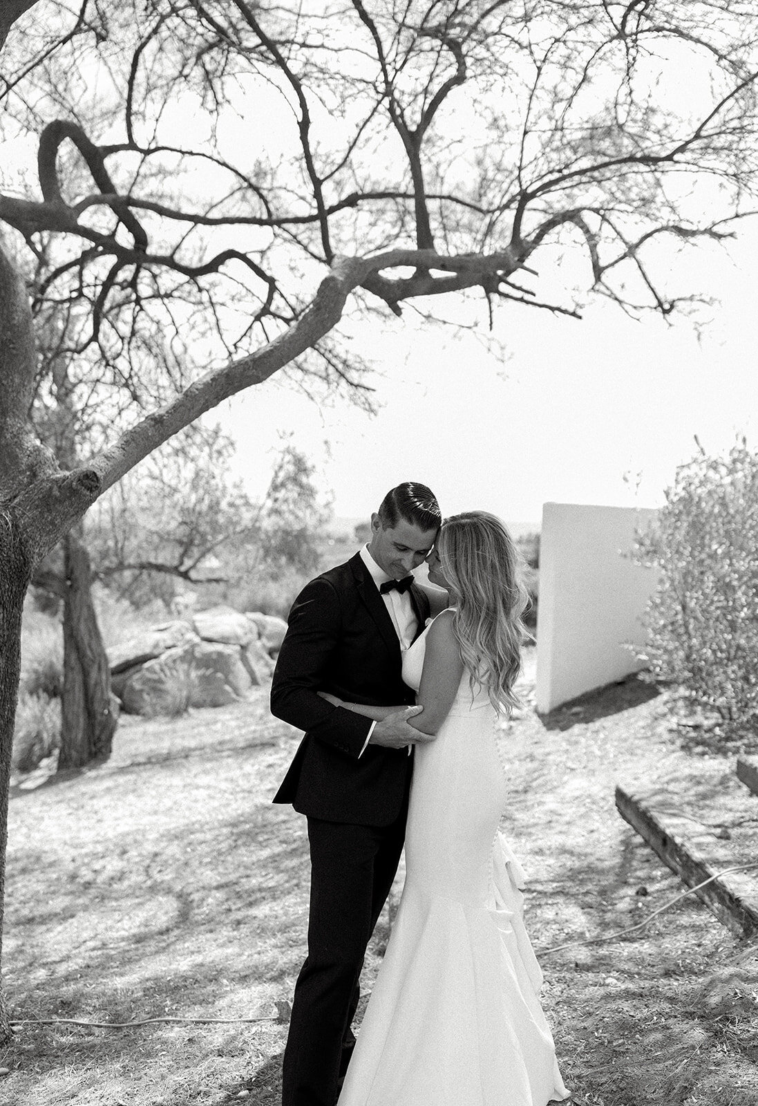 Aaren-Cadieux-Photo-TemeculaBackyardWedding-248