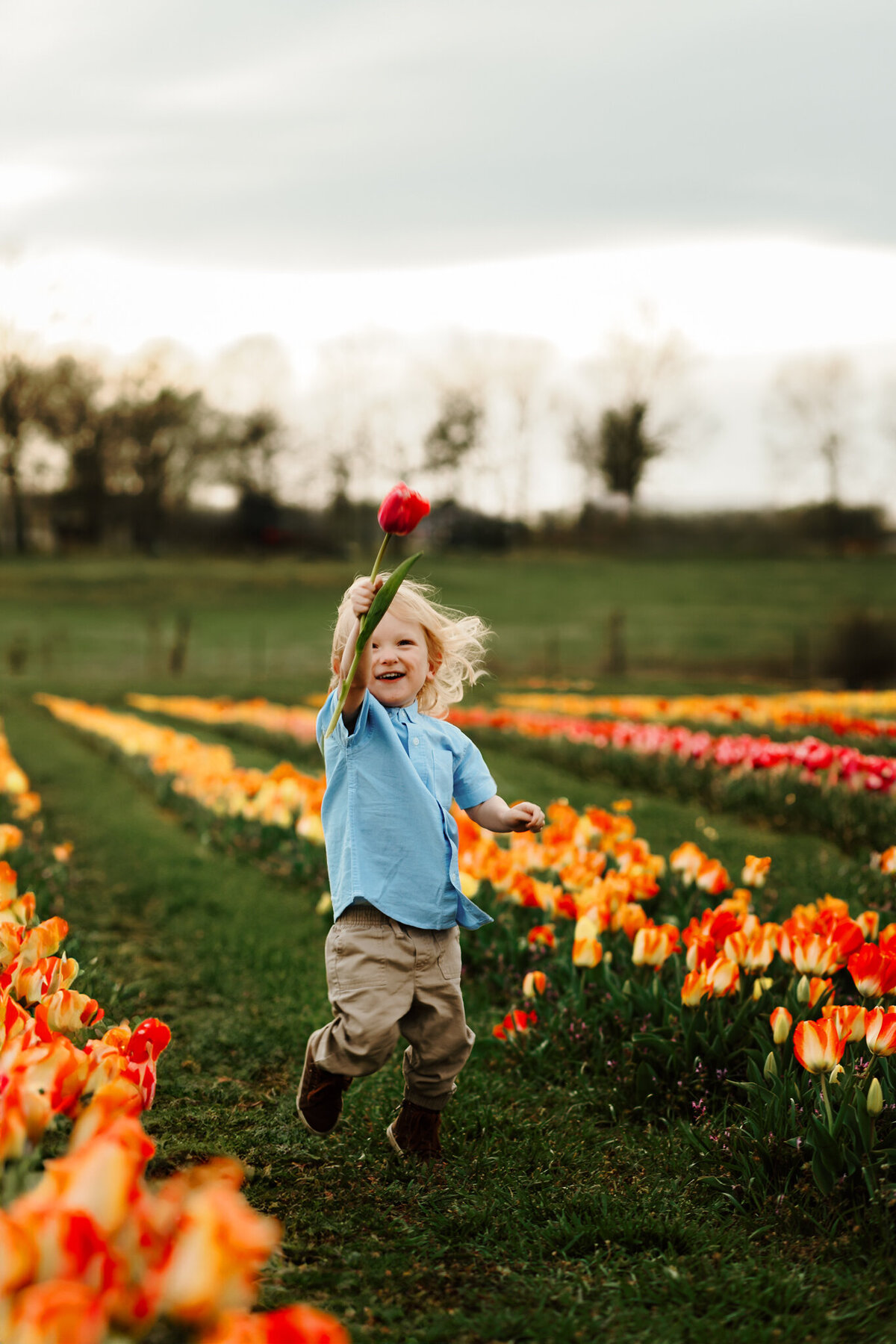 Springdale AR maternity photographer, Springdale AR newborn photographer, Springdale AR baby photographer, Springdale AR family photographer
