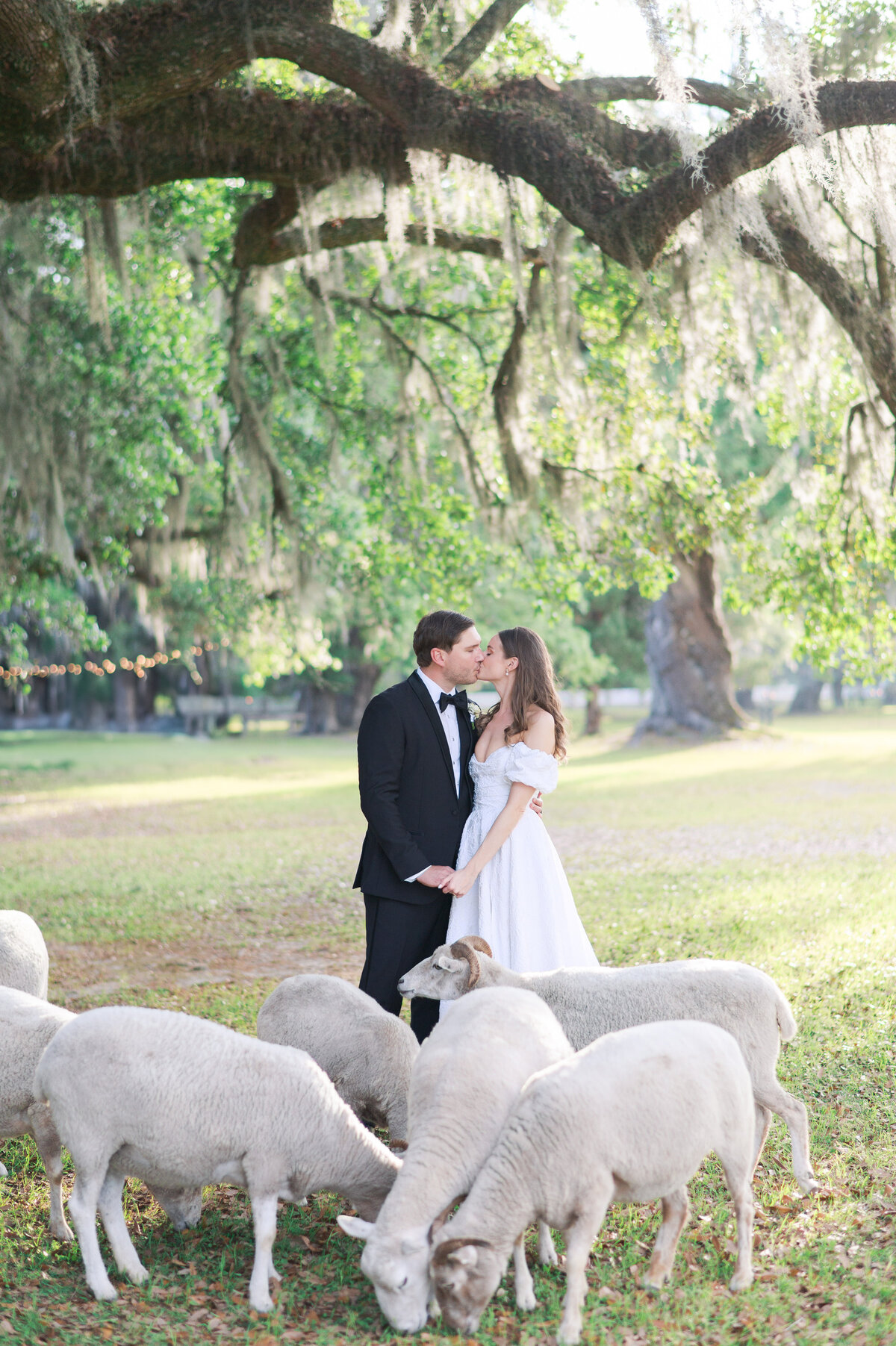 SAVANNAH_GEORGIA_WEDDING_PHOTOGRAPER_129