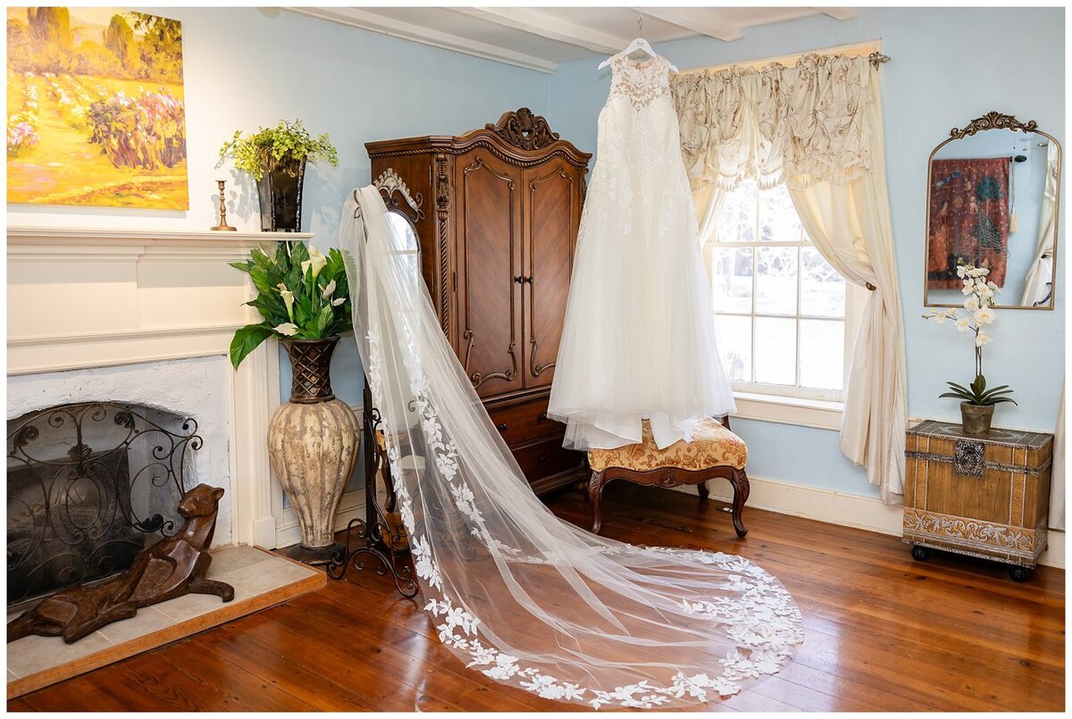 Golden Horseshoe Inn Micro Wedding Virginia_3992