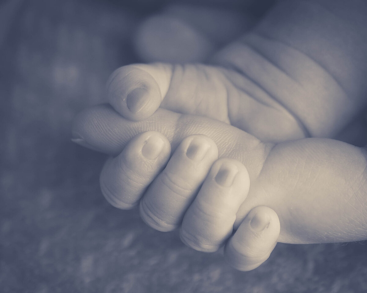 A newborn baby holds the finger of its parent from a Pella Newborn Photographer