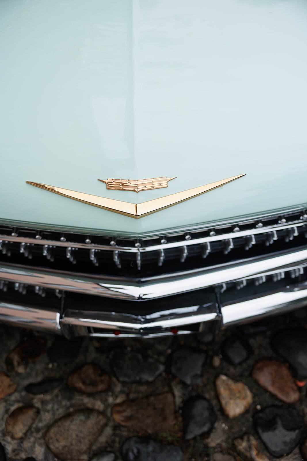 Something Borrowed-94