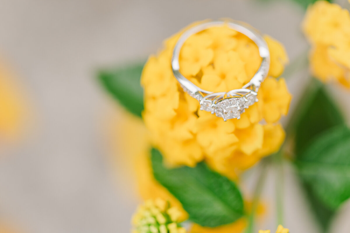 Brian and Breanna-5508