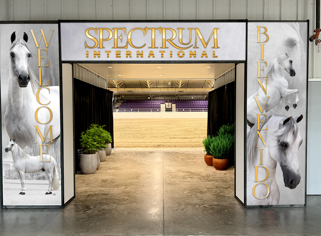 display-arc-hacienda-seleta