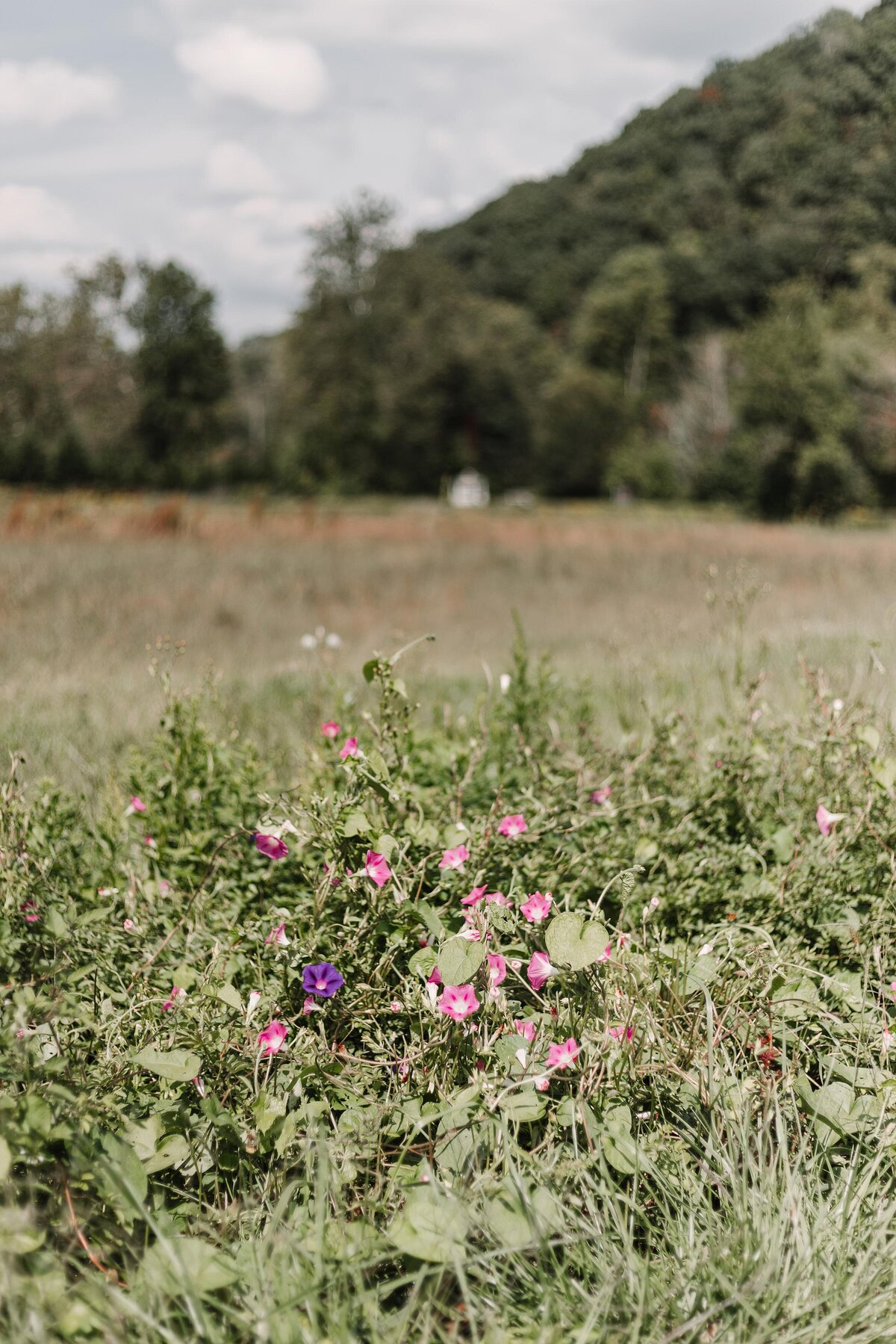 Barn 697 North Carolina Elopement Venue_0028
