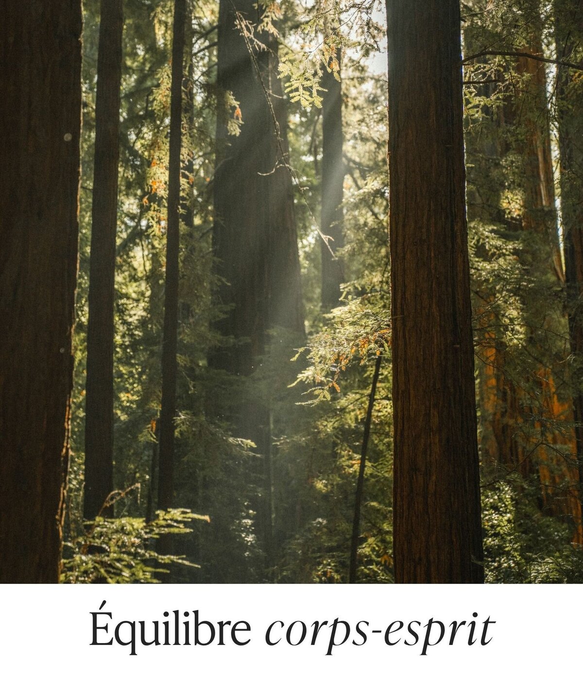 equilibre-corps-esprit-laetitia-beysang-naturopathie