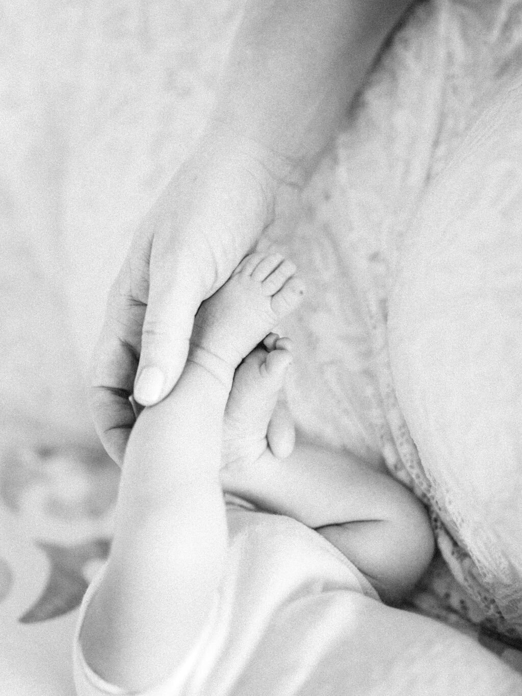 FischerNewborn-169