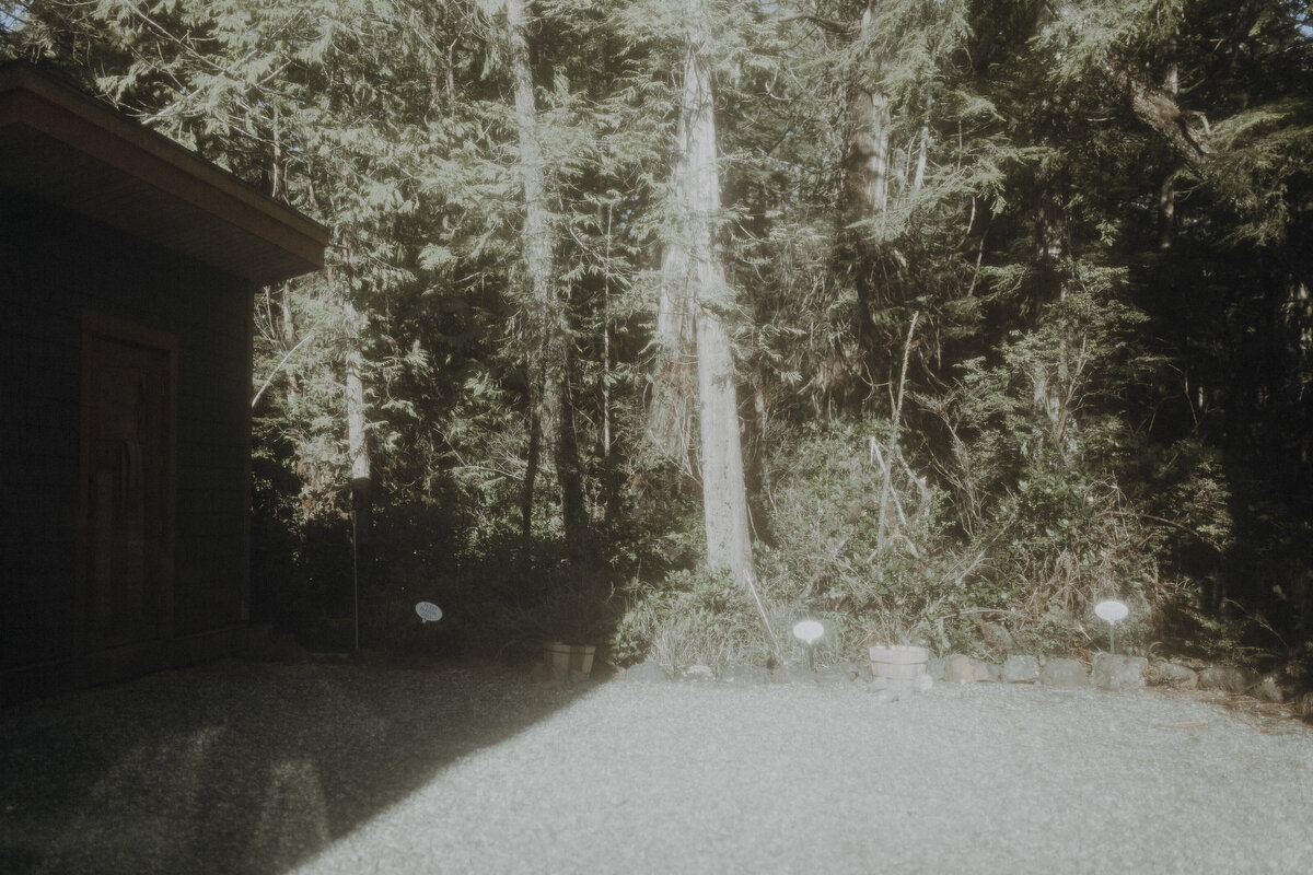 Sleepy Bear Guest House Airbnb Photography Session Ucluelet British Columbia 45686