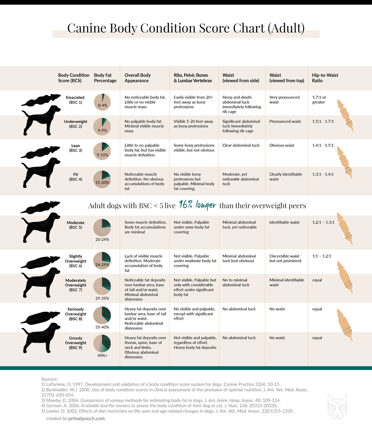 How Much Food Should I Feed My Dog On A Raw Diet 