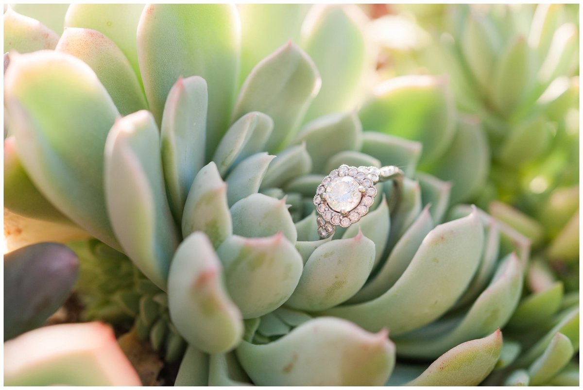 Mansfield Ohio Engagement Session Kingwood Garden Center_0005