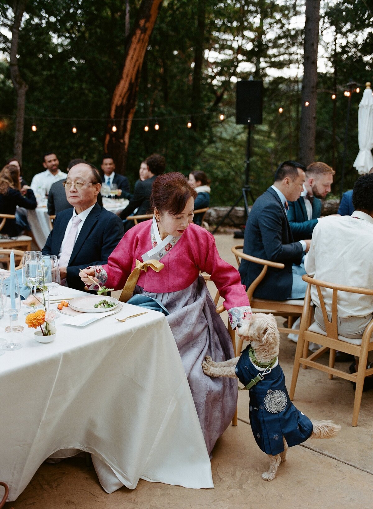 Yena_Rewon_Wedding_Mo_Davis_Photography 241859